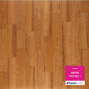 Линолеум Tarkett Empire VIRGINIA 1  | FLOORDEALER